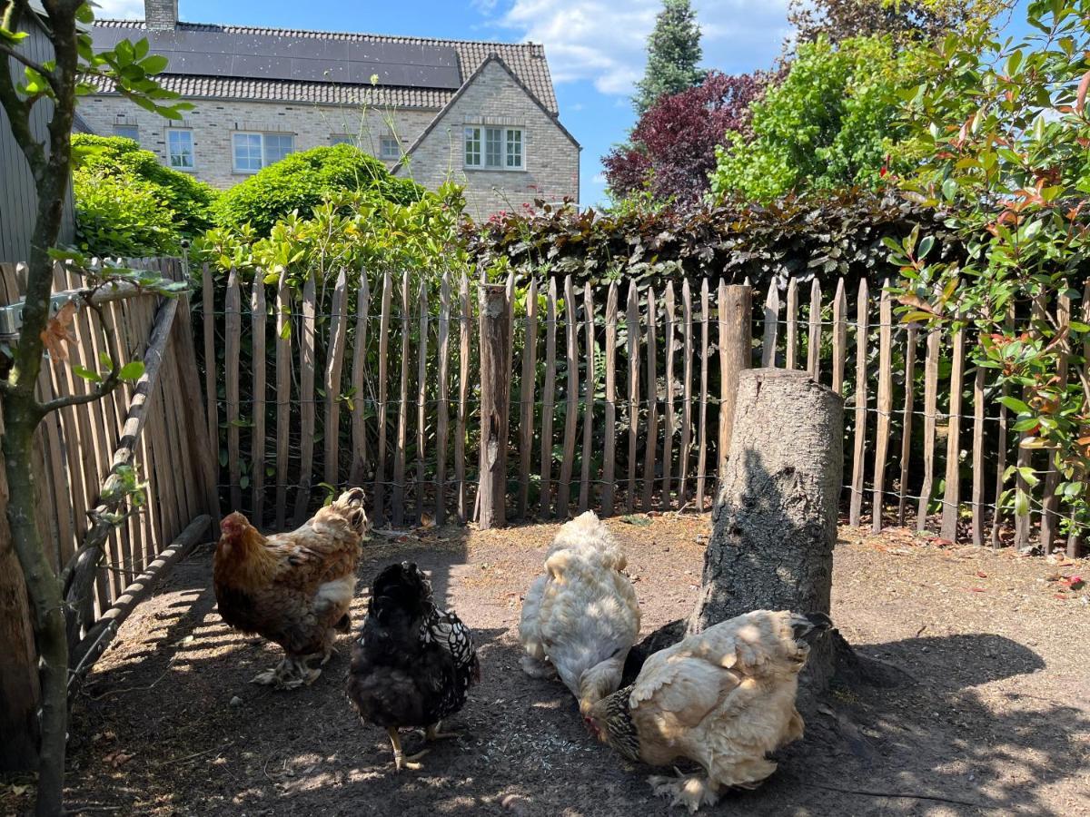 Sfeervol Familielandhuis In De Groene Kempen Baarle-Hertog Ngoại thất bức ảnh
