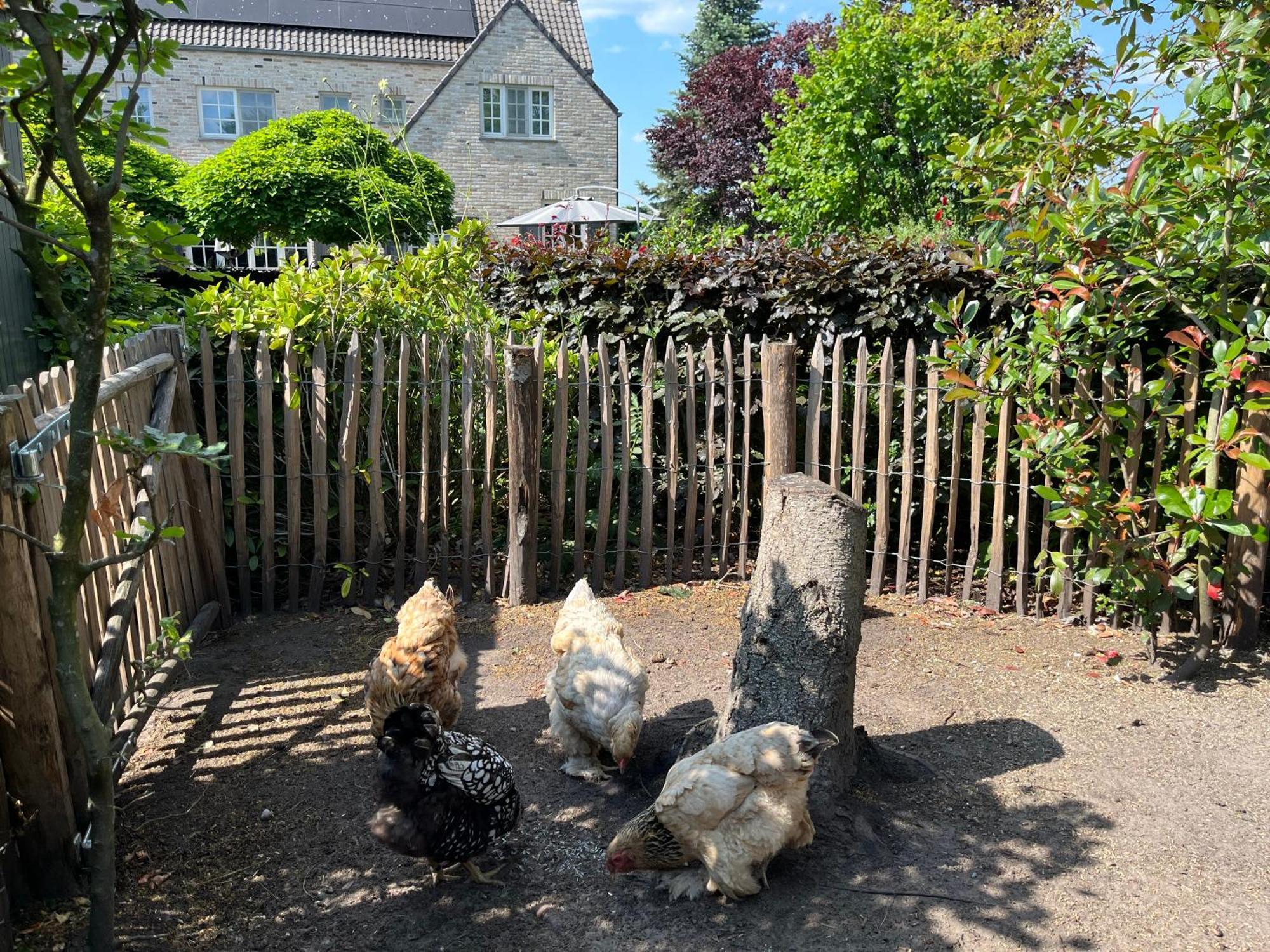 Sfeervol Familielandhuis In De Groene Kempen Baarle-Hertog Ngoại thất bức ảnh